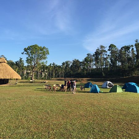 Kadamakolli Resort Kurchi Eksteriør bilde